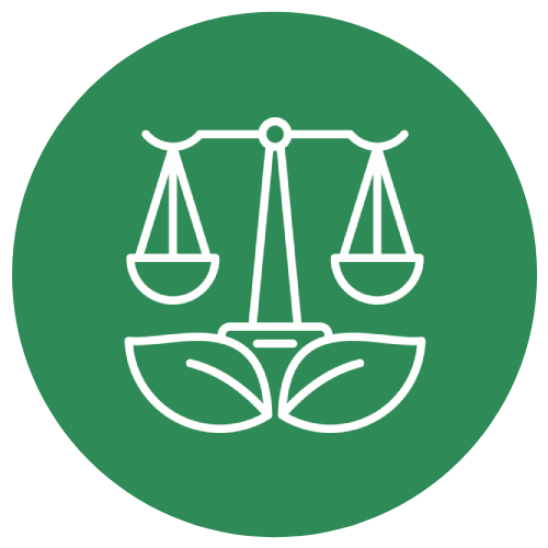 Environmental Laws and Governance